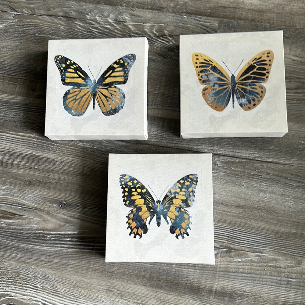 Set of three small butterfly canvass print LAST CALL before gone